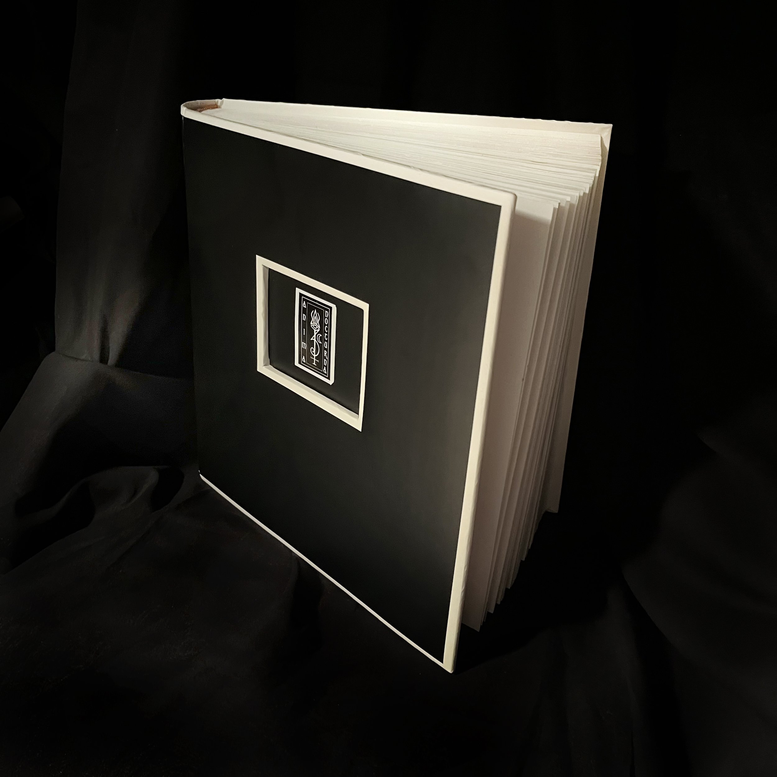 In the Mirror of Qutub Deluxe Vault edition