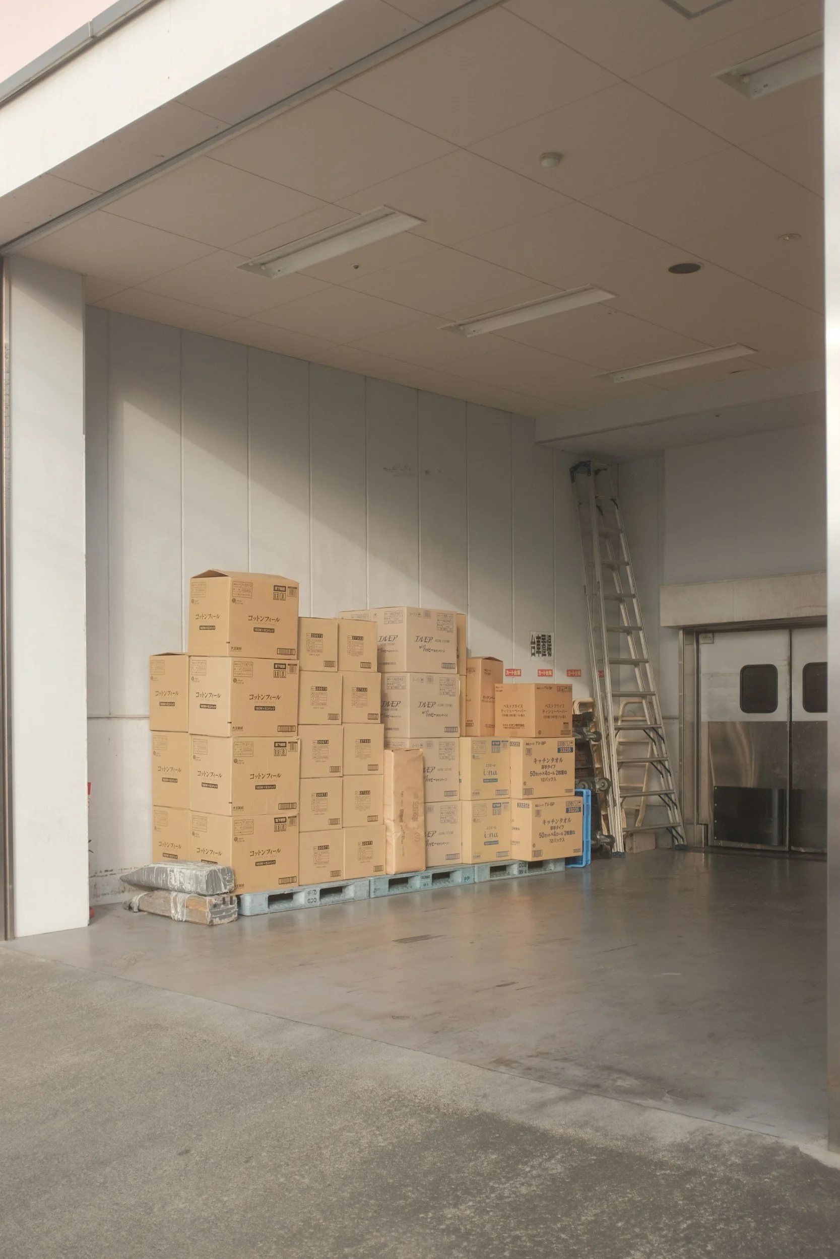 Stack of cardboard boxes and pallets inside a loading dock area, with a ladder and metal doors in the background.