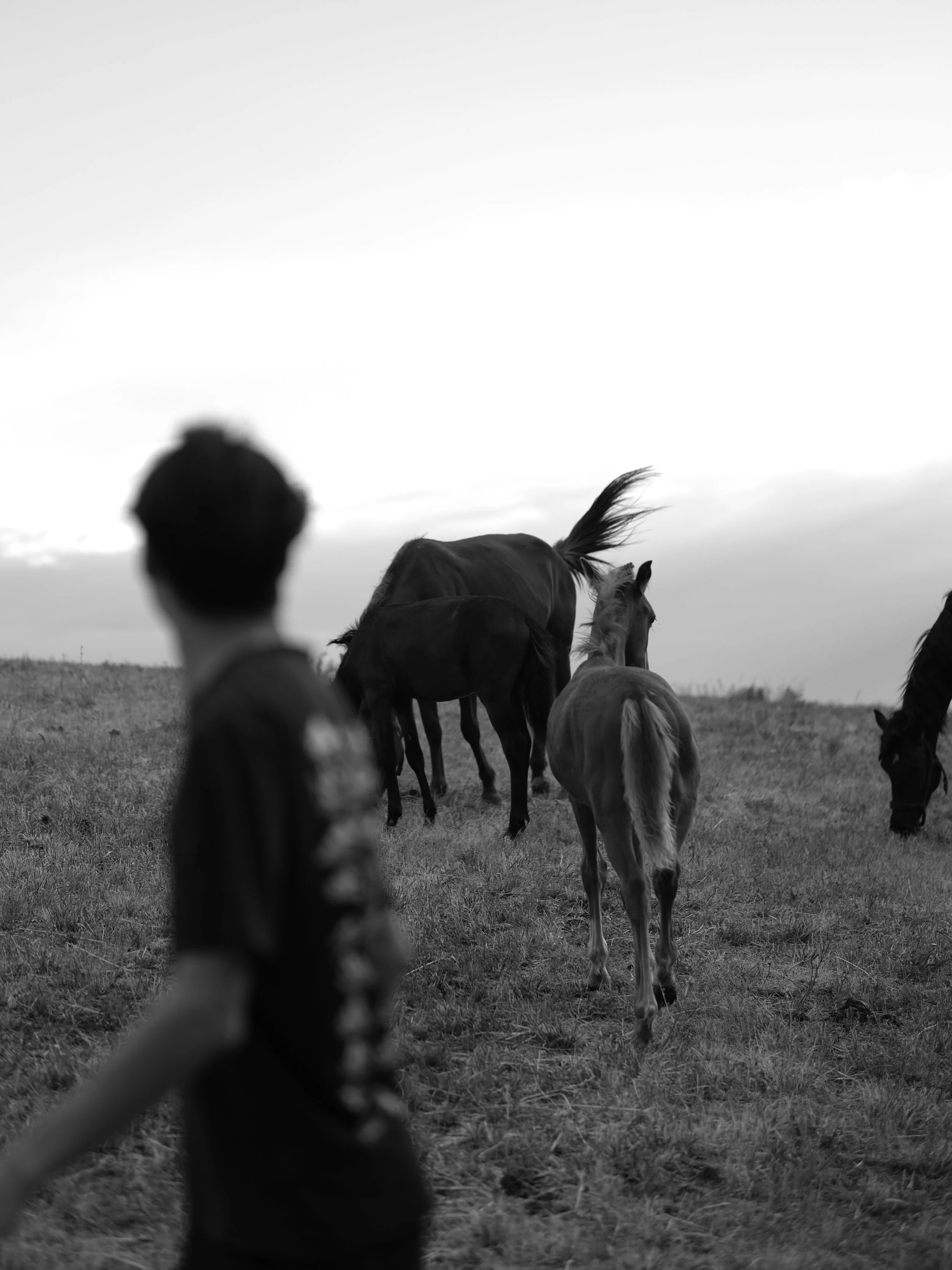 2023-08-07 07-25-26.JPG