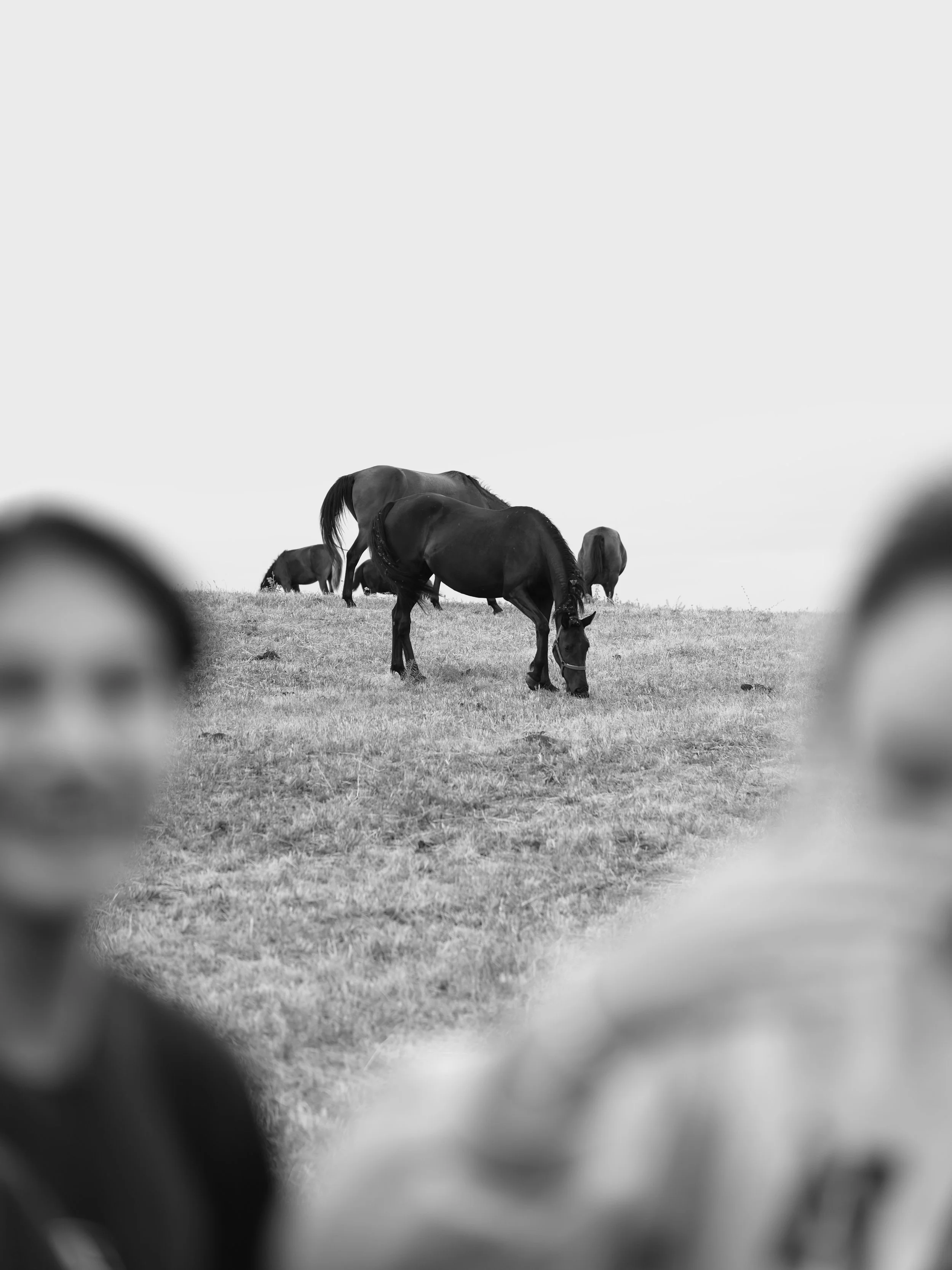 2023-08-07 07-11-33.JPG