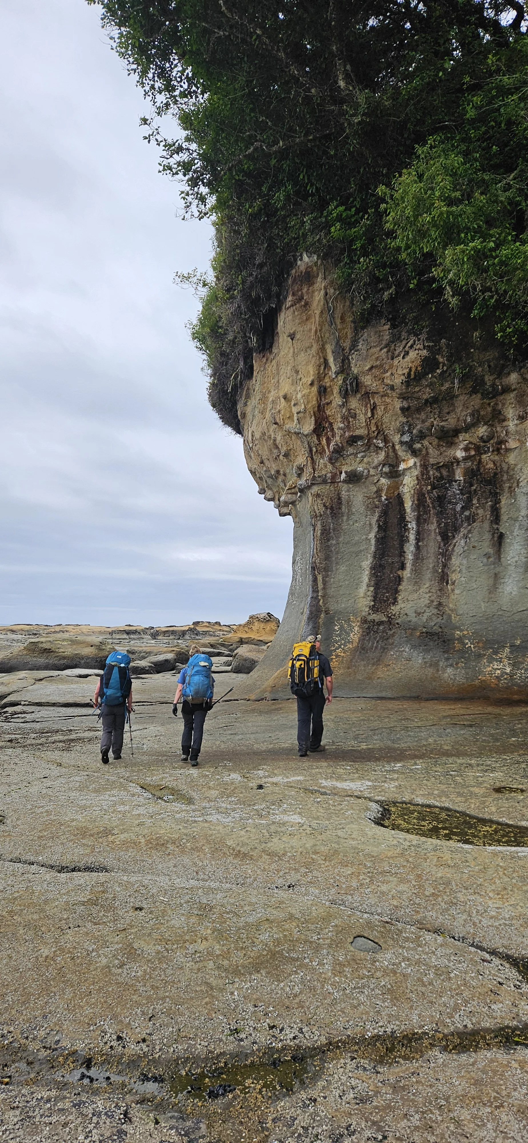 Three hikers with backpacks and walking poles walking on a rocky beach near a large, weathered sandstone cliff with greenery on top.
