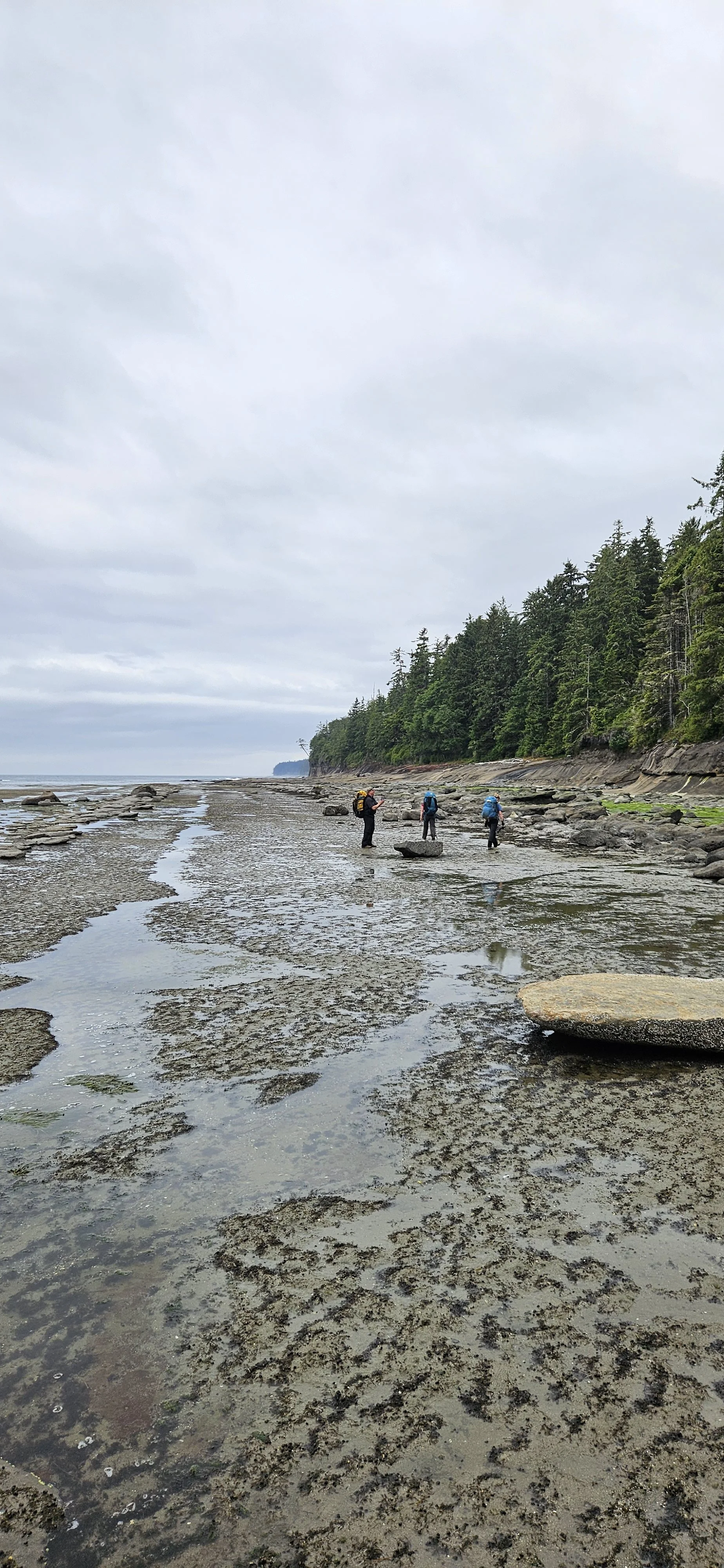 Three people walking on a rocky beach during daytime with a forested cliff on the right and overcast sky.