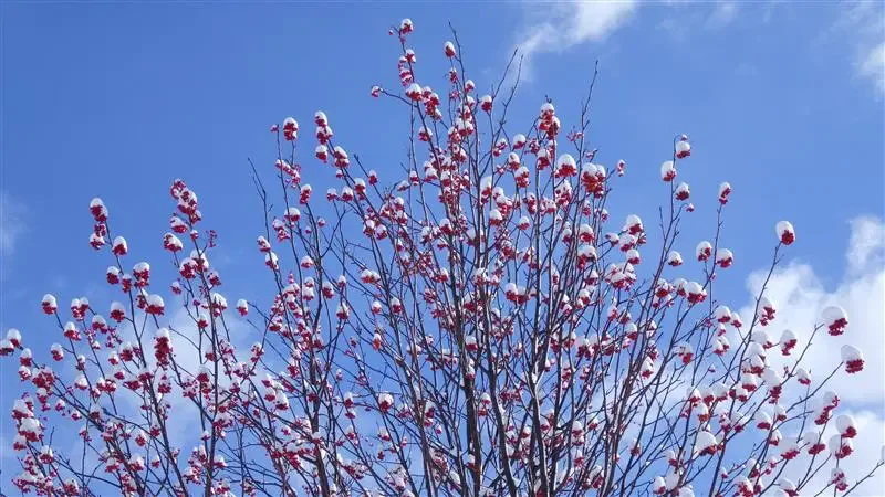 Vol.03 「けんちゃんのファミリーコンサート」