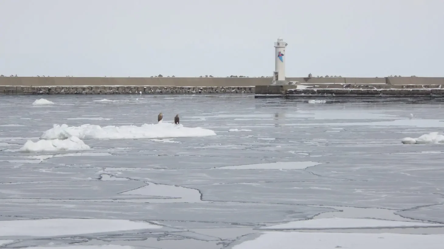 Vol.06 「けんちゃんの修学旅行」