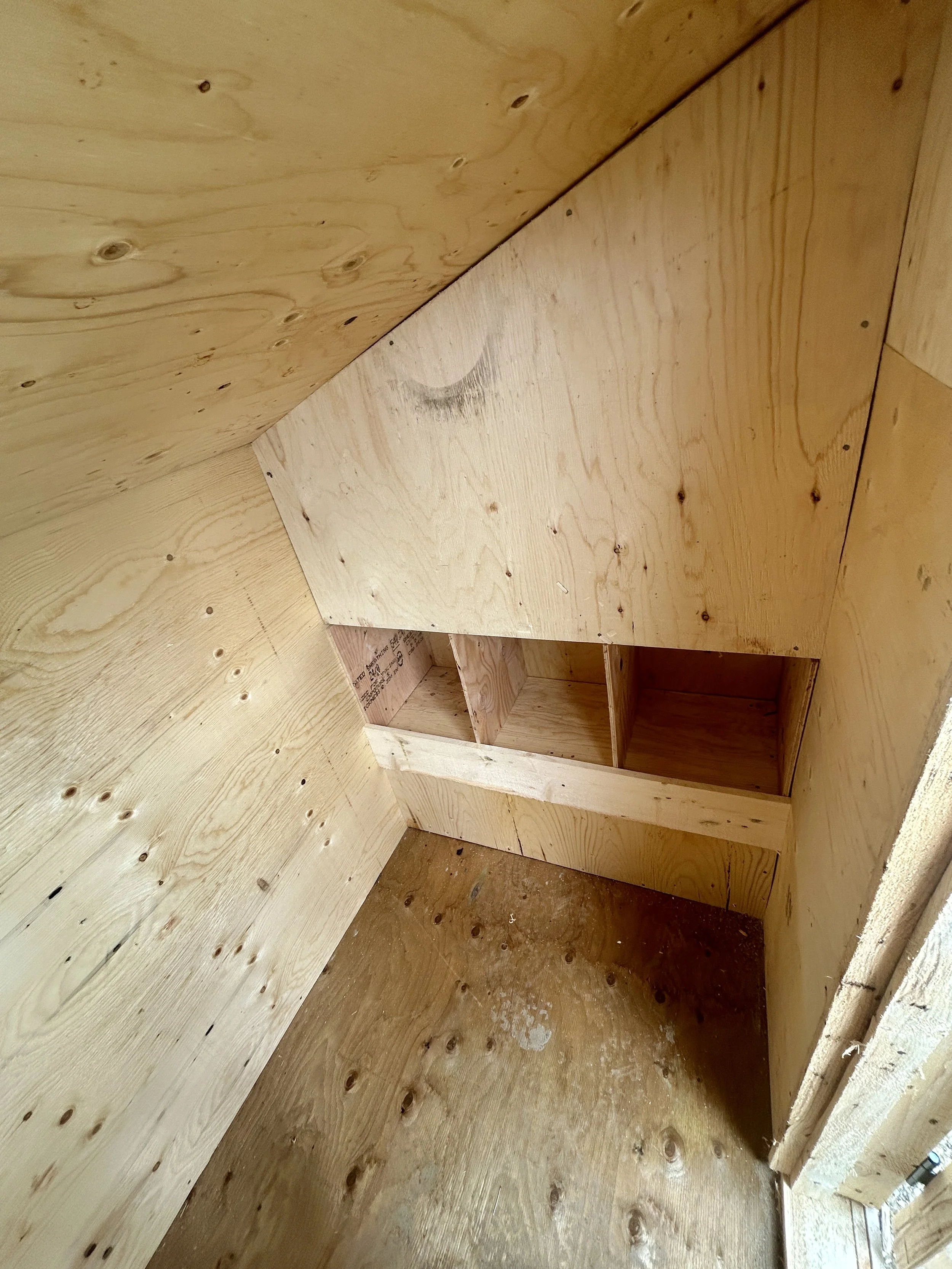 IMG_0941.jpeg