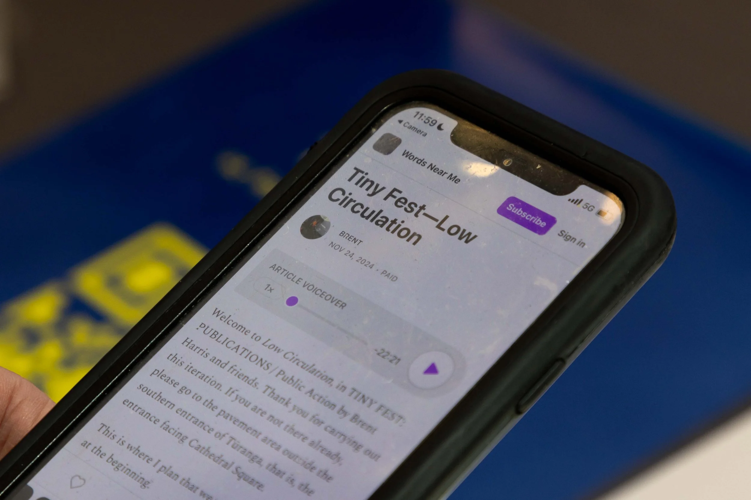 TINY FEST 2024 - SMALL FOR ONLINE-936.jpg