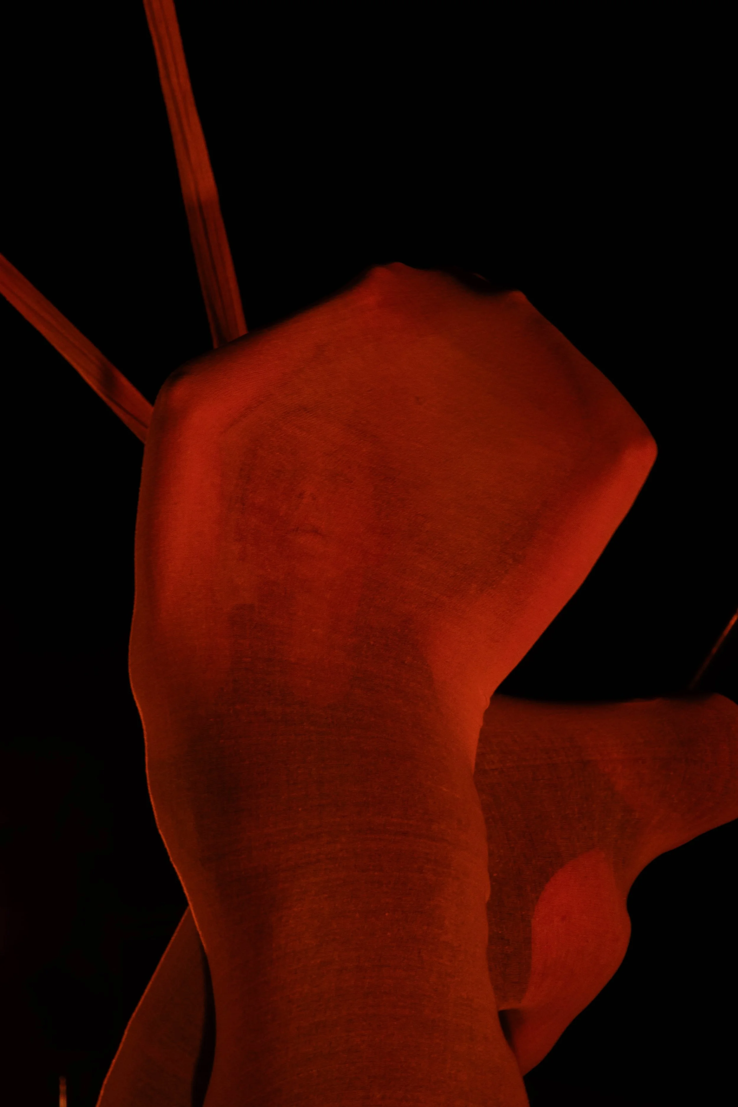 TINY FEST 2024 - SMALL FOR ONLINE-509.jpg