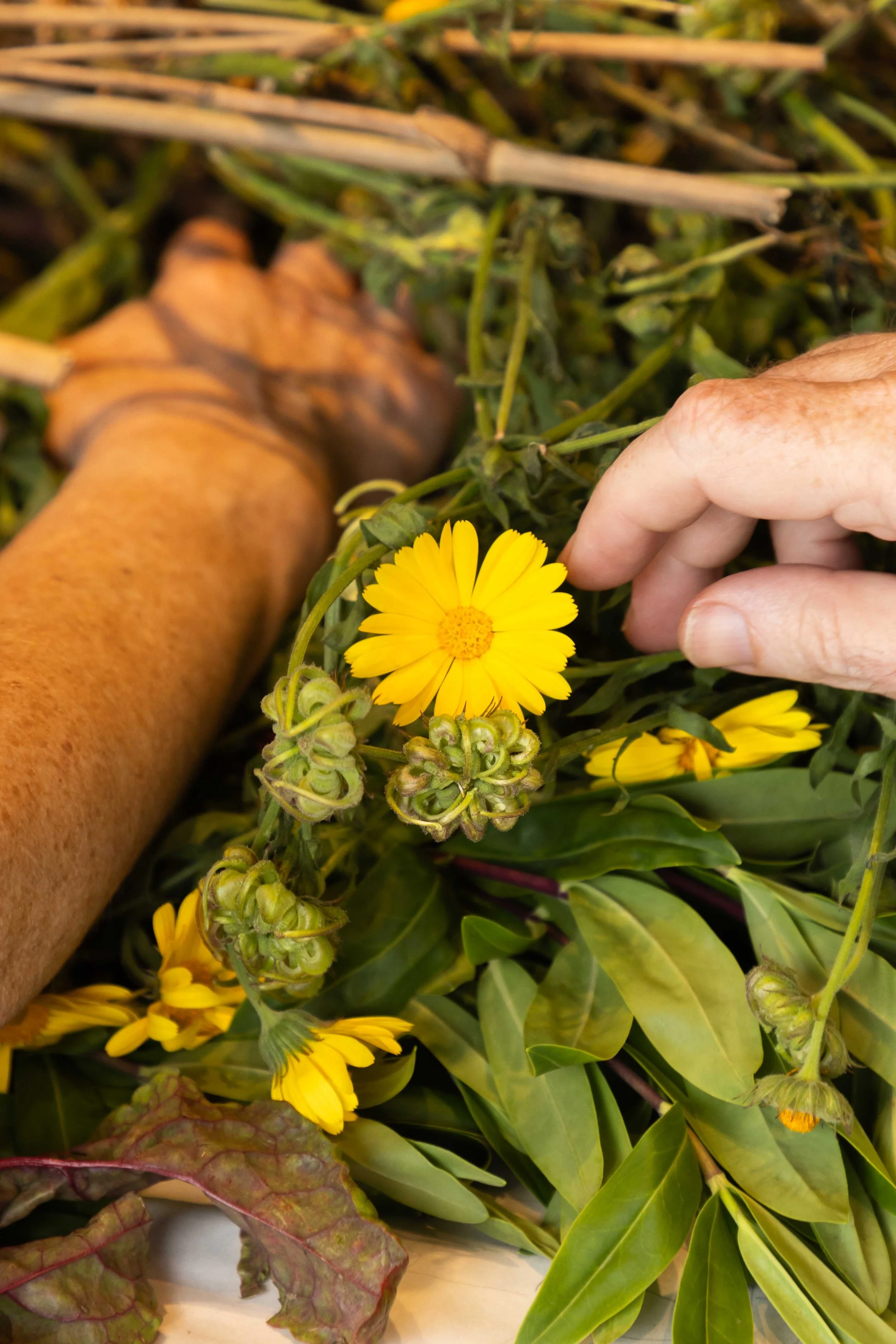 TINY FEST 2024 - SMALL FOR ONLINE-479 (1).jpg