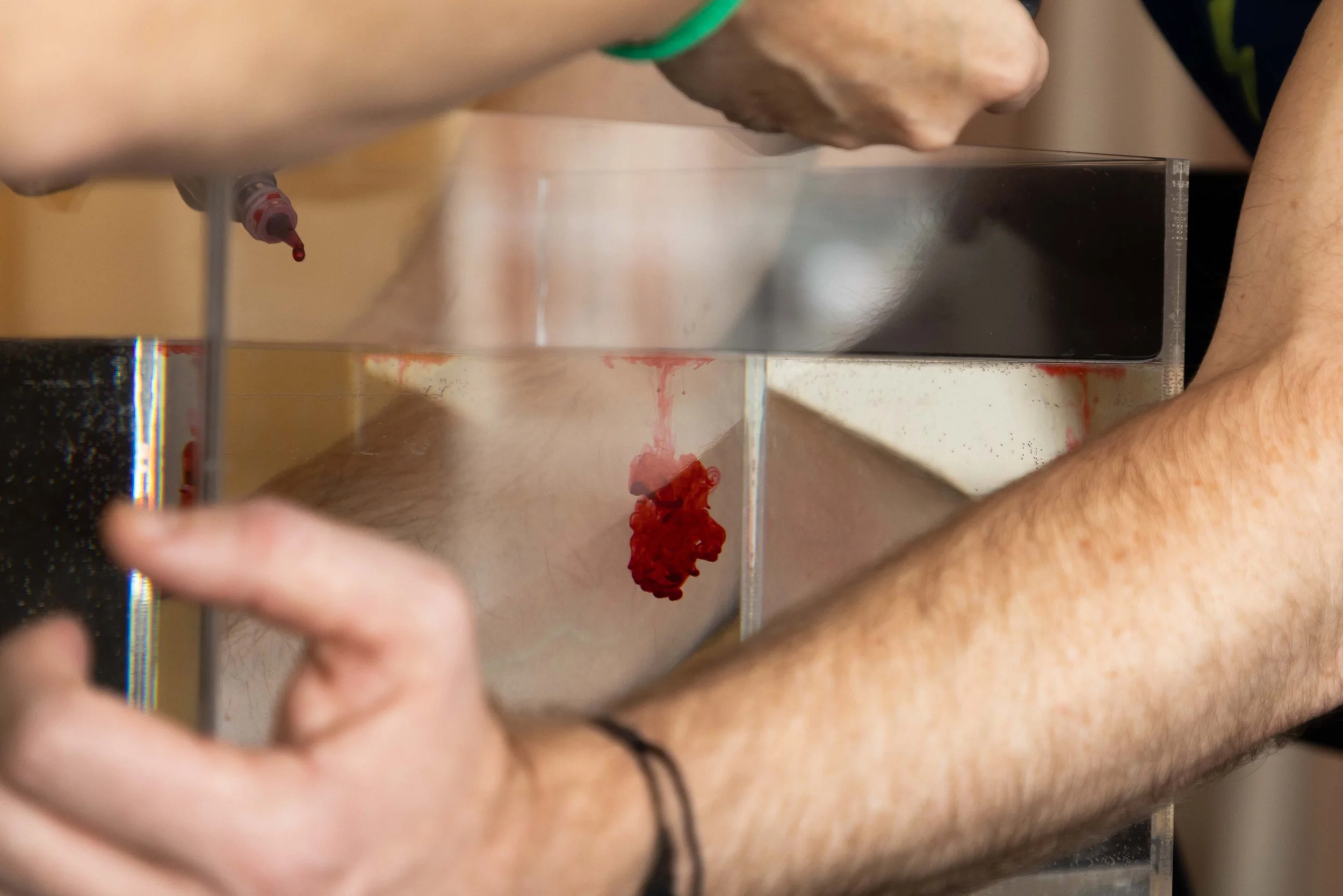 TINY FEST 2024 - SMALL FOR ONLINE-369.jpg