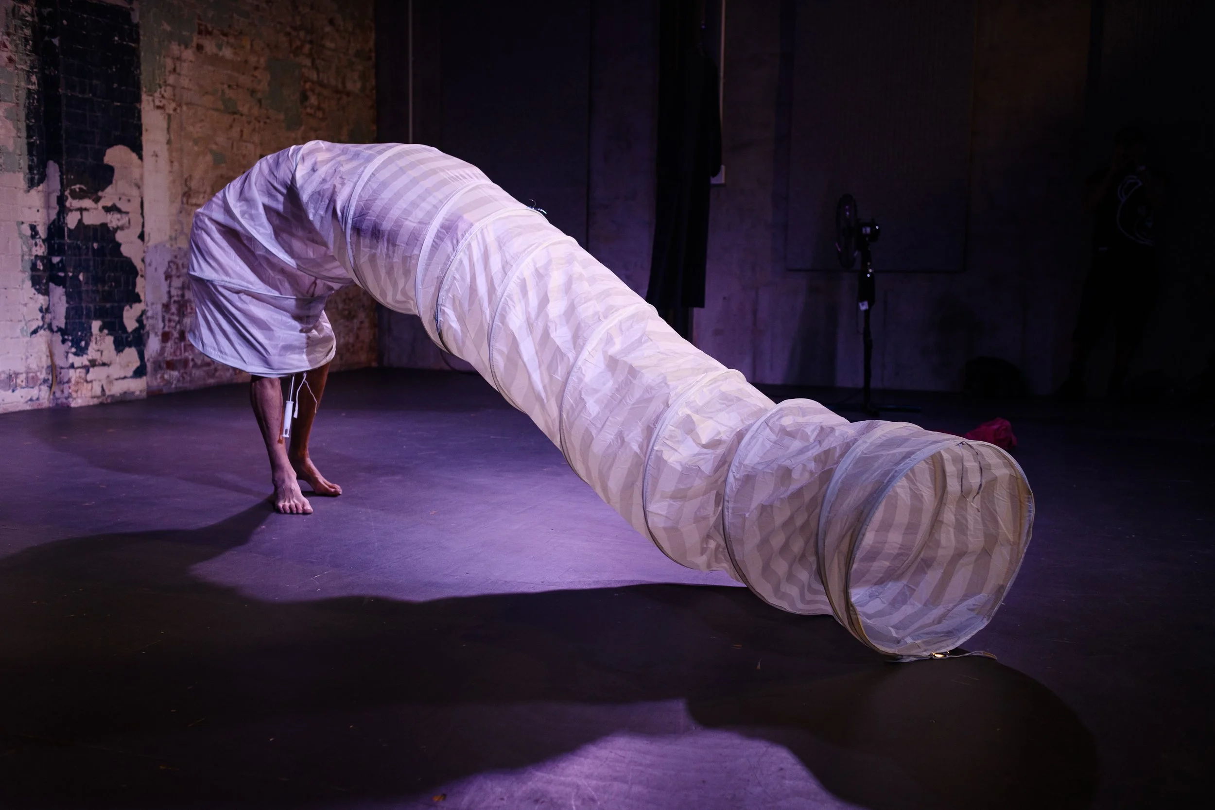 TinyFest_03.2026_ElectricBodies-24 (1).jpg