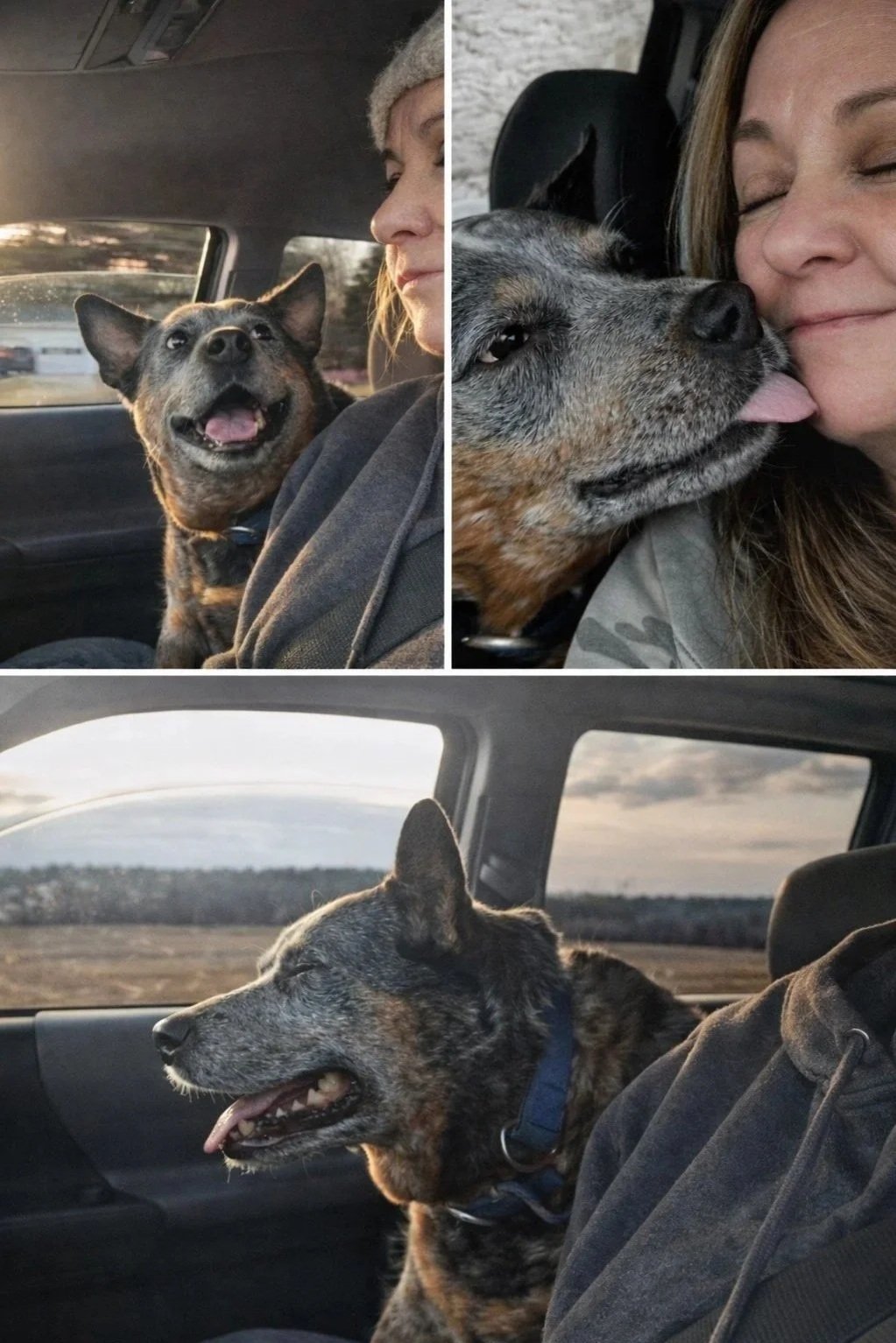 A woman and her dog sharing happy moments inside a car, with the woman cuddling and kissing the dog and the dog smiling and sticking out its tongue while sitting in the backseat, and a scenic view outside the window.