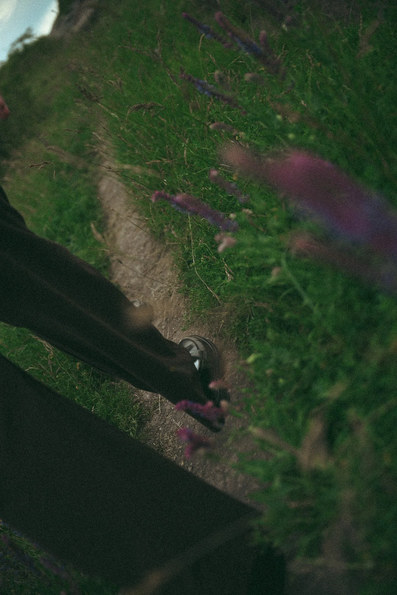 AMF_1679.jpg