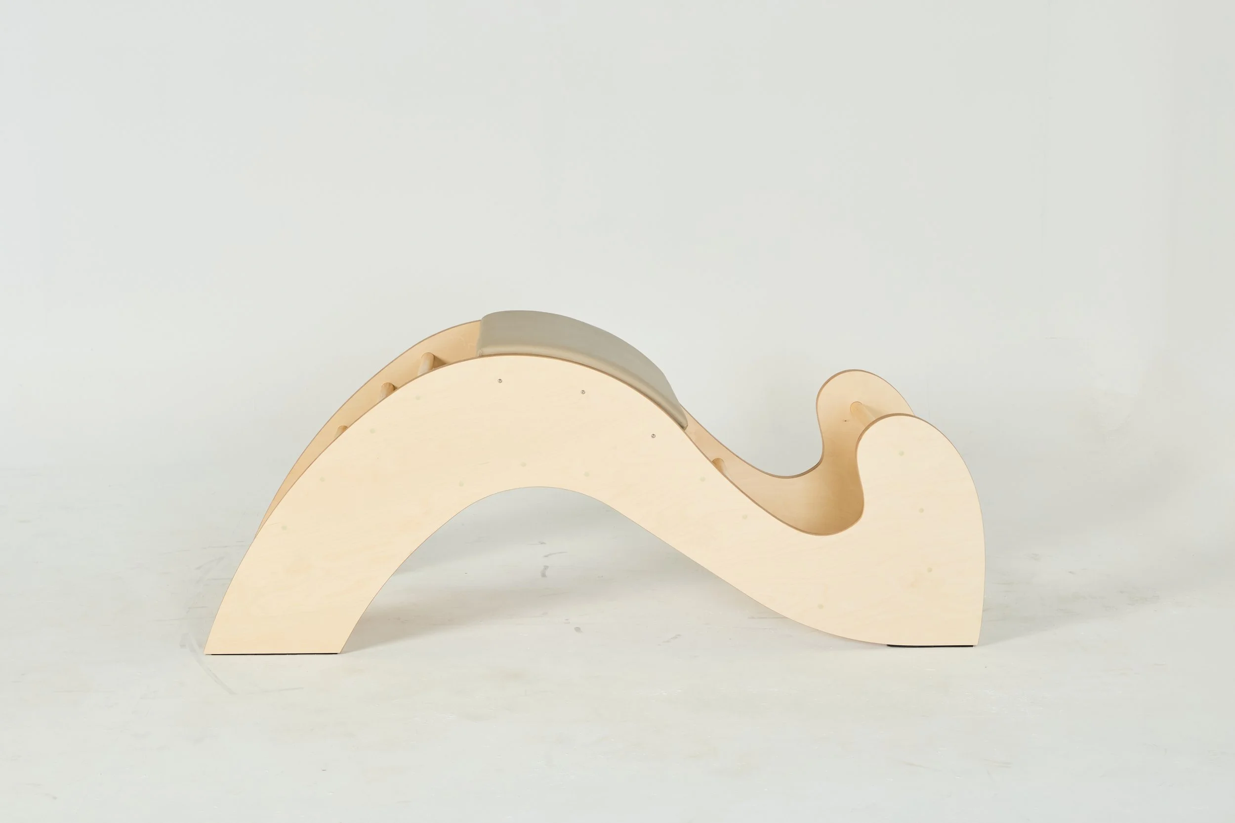 Advanced Spine Corrector