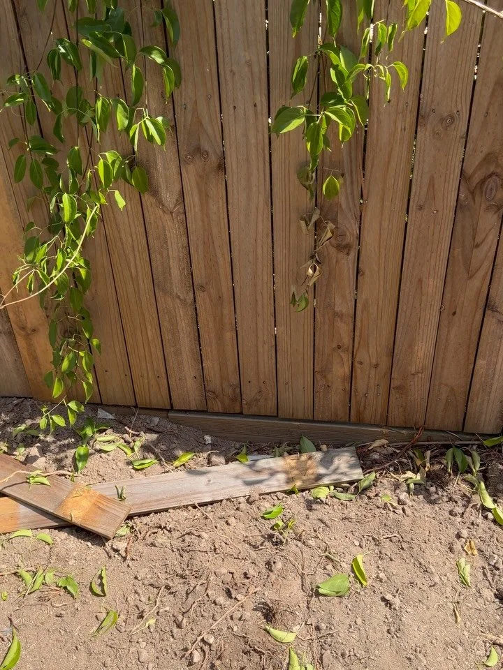 A recent job we completed for a client which is all prepared for concrete house surrounds and turf to be installed soon.