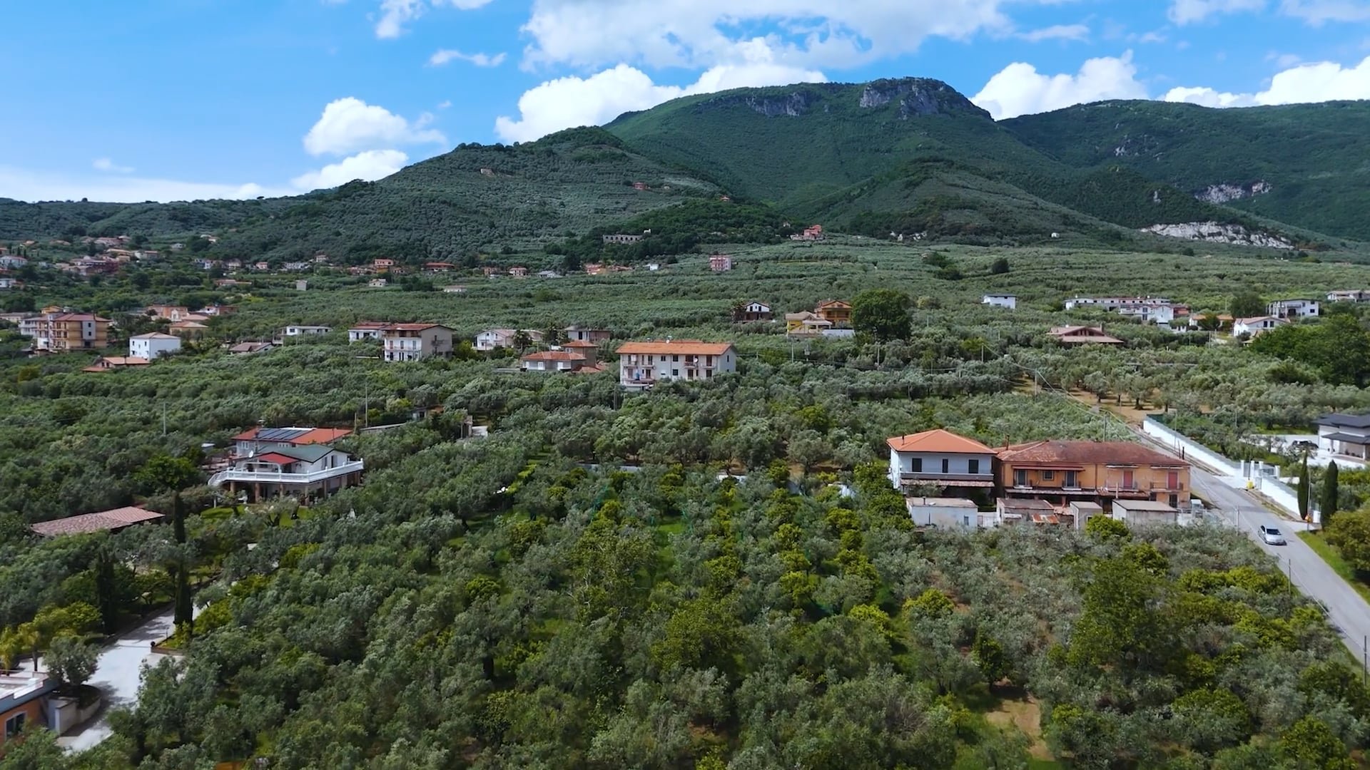 MJ Bale Italian Ties