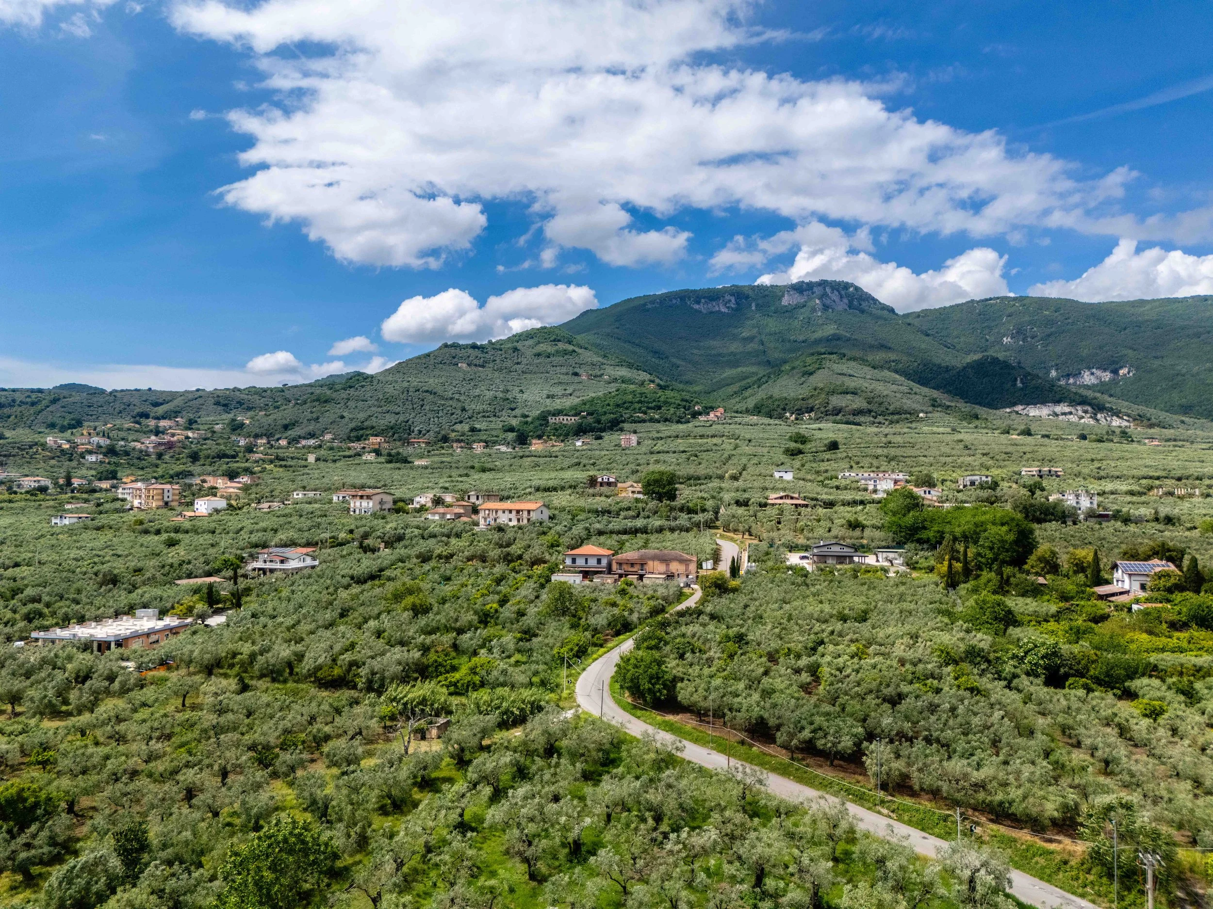 MJ Bale X Kingston Ties (Campania, Italy)