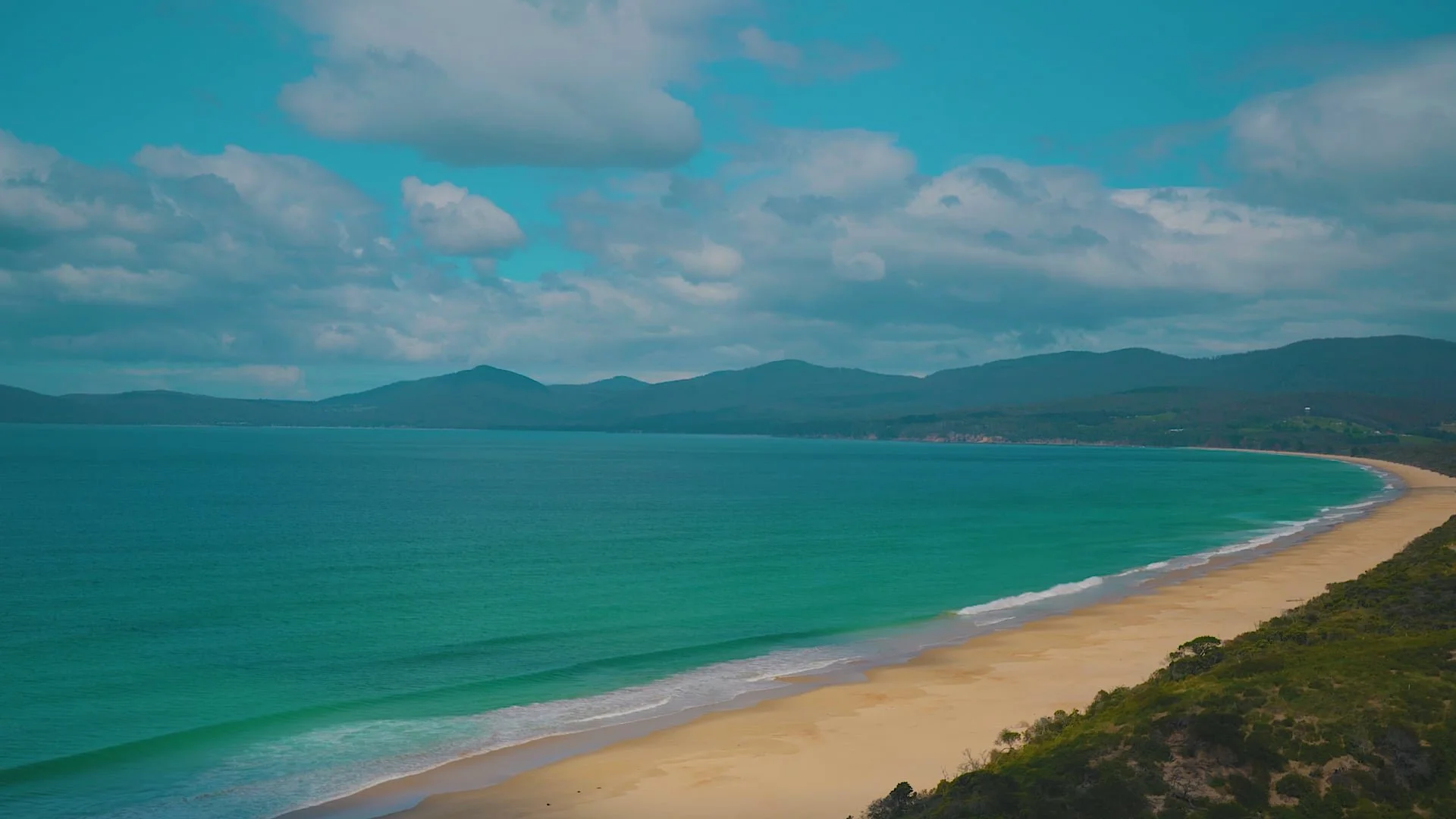 MJ Bale Penguin Zissou