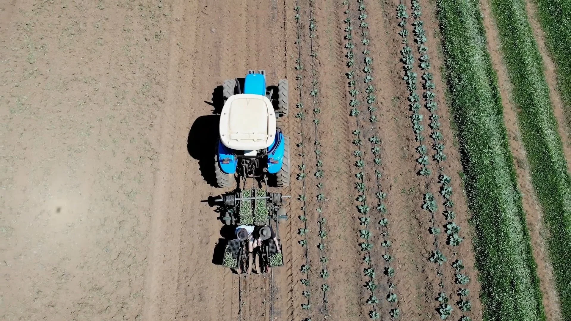 Moonacres Soil Project