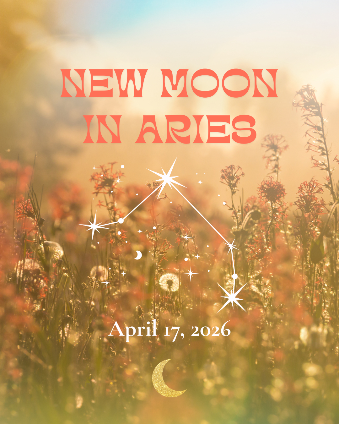 aries New Moon