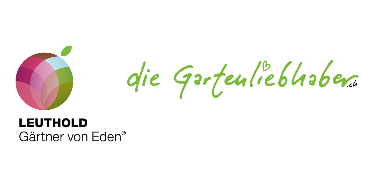 Grafik mit mehreren vertikalen Pfeilen in verschiedenen Farben, die nach oben zeigen, oben eine grüne Linie und unten eine rosa Linie, dazu deutsche Beschriftungen.