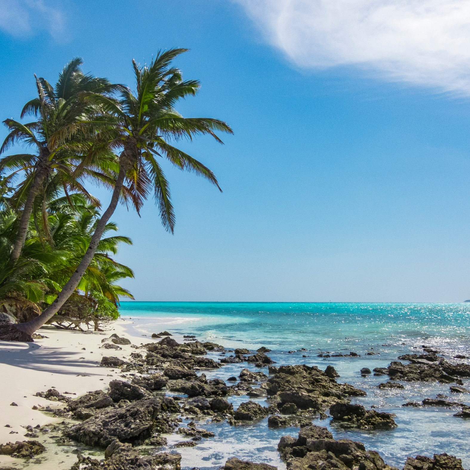 Tropical beach with palm trees, rocks, white sand, and turquoise ocean under a partly cloudy sky.