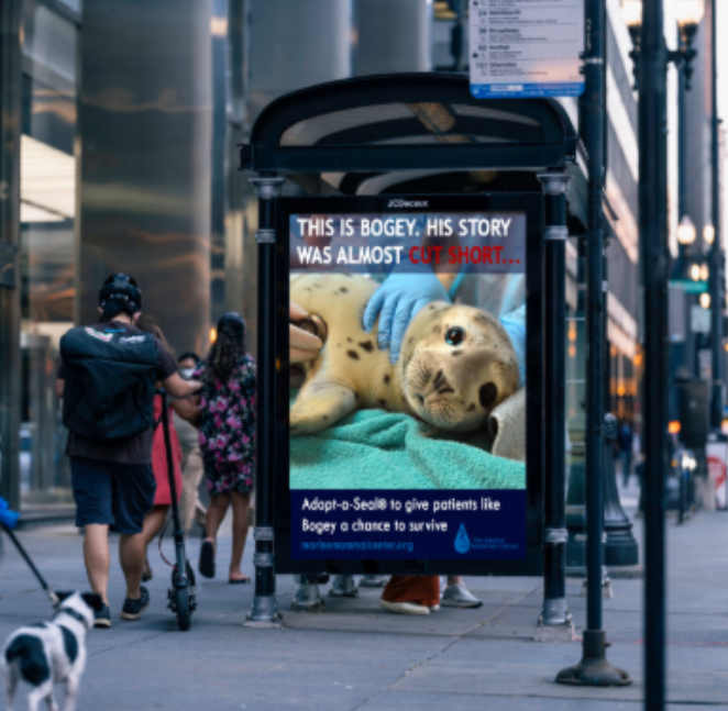 Marine Mammal Center Advertising