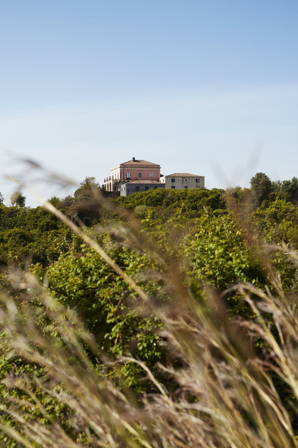 Oivind Haug-trekontrade-mai 08 2016-000050.jpg