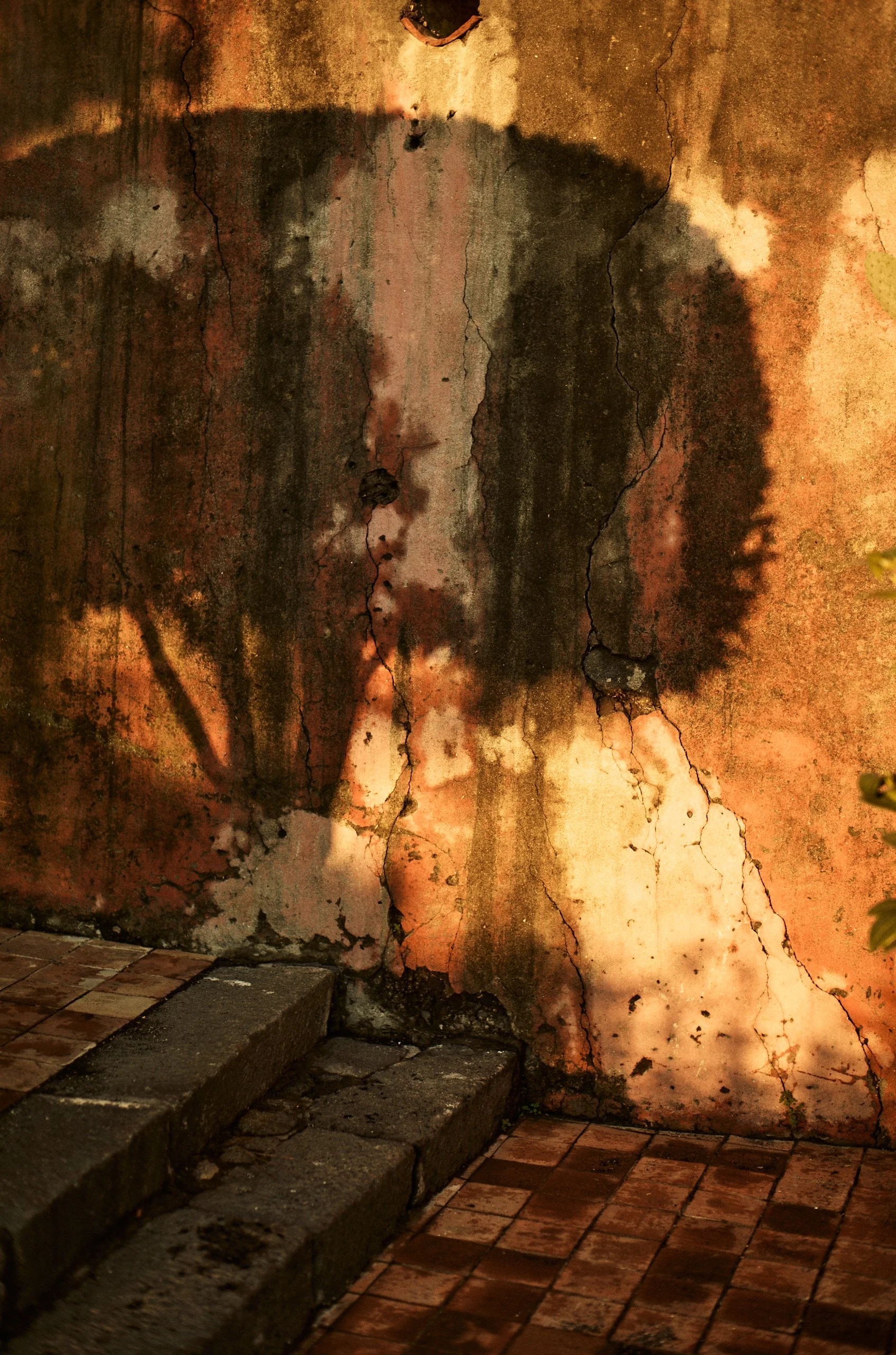 oivindhaug_Tre Kontrade__21-10-04_0111.jpg