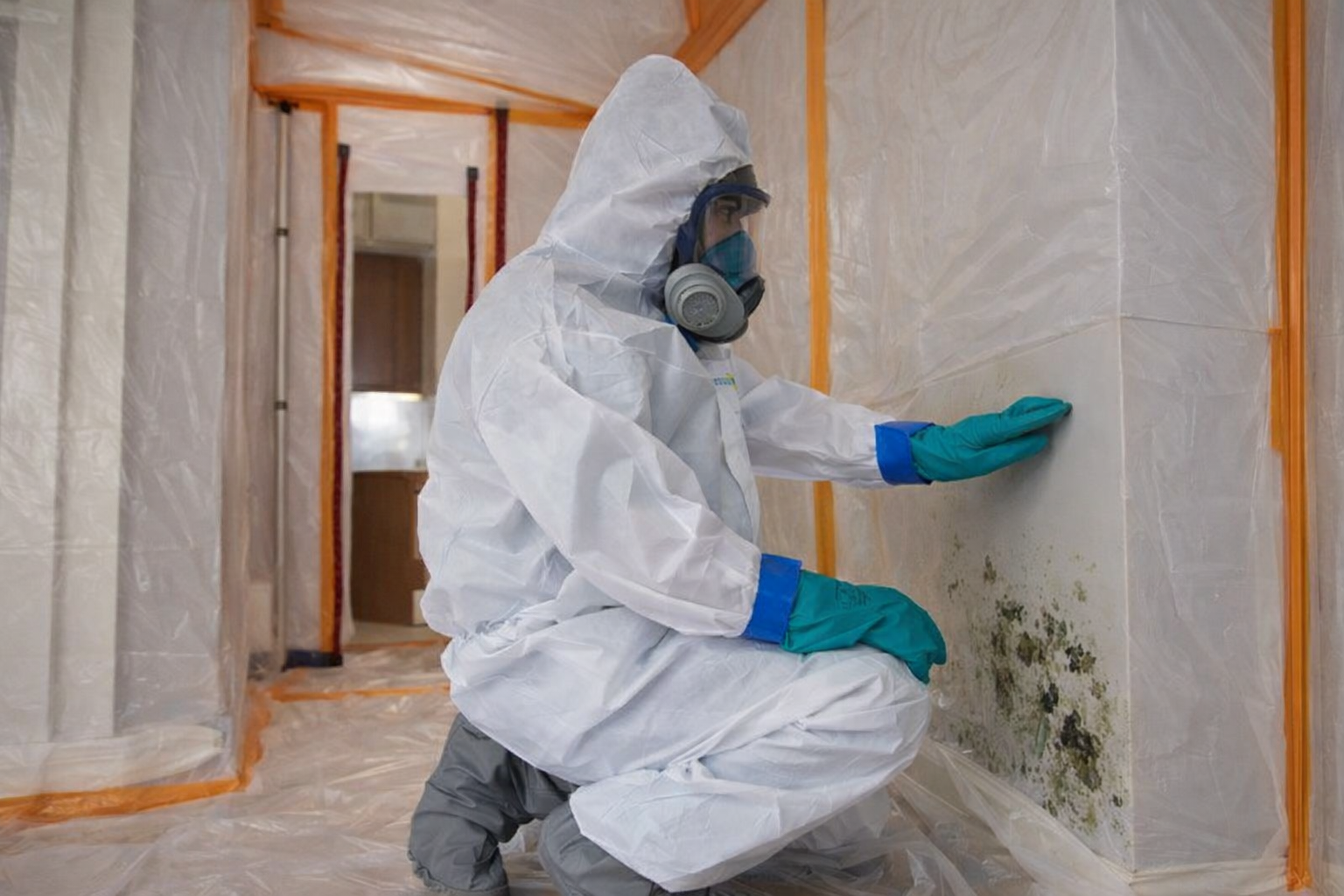 Mold Remediation