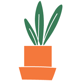 En hobbyplante i en terrakottakrukke