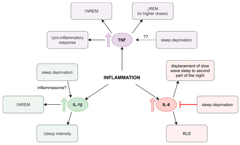 The Hidden Relationship Between Sleep, Inflammation, and Persistent Pain