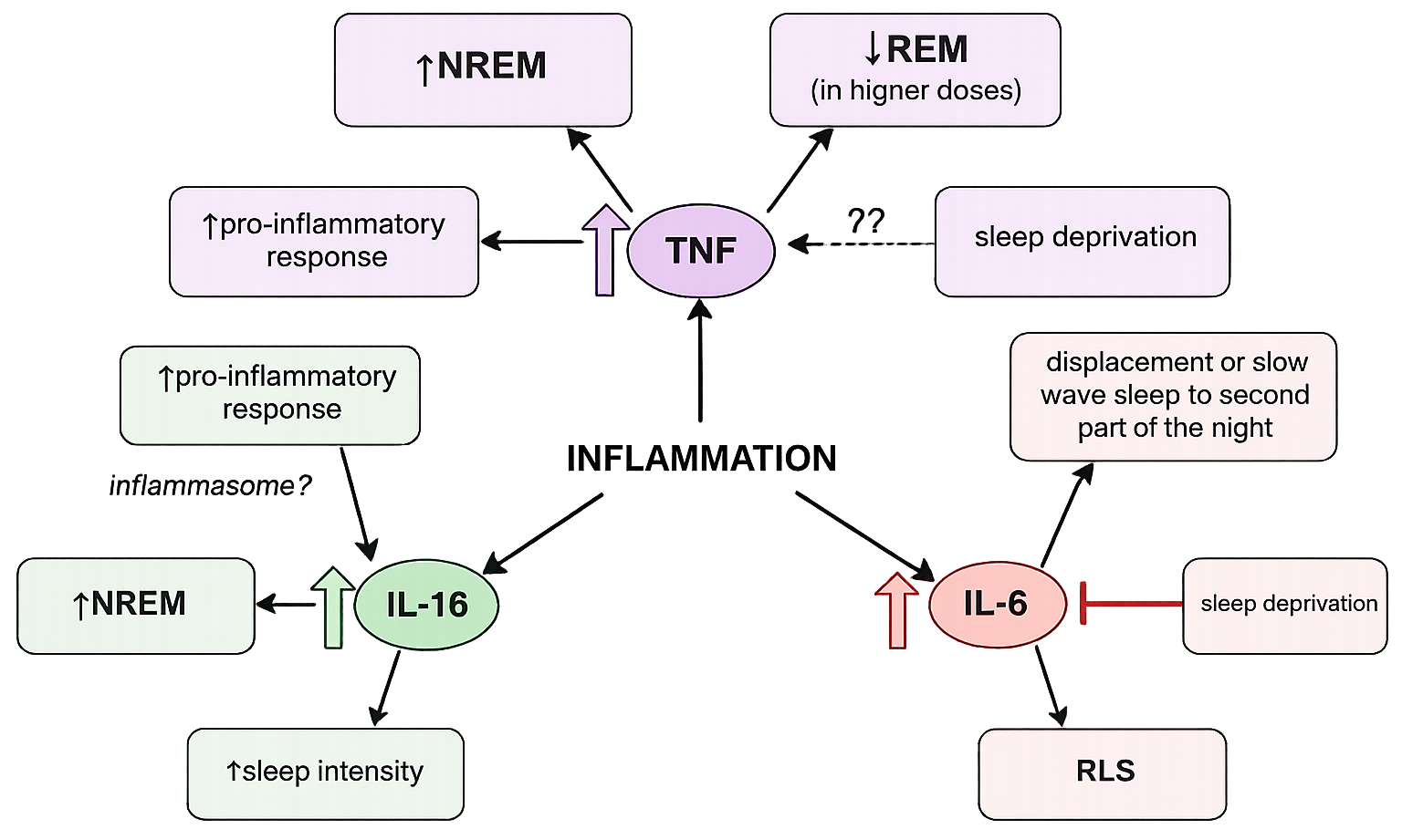 The Hidden Relationship Between Sleep, Inflammation, and Persistent ...
