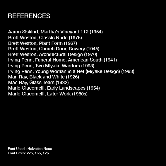 accordion booklet-13.png