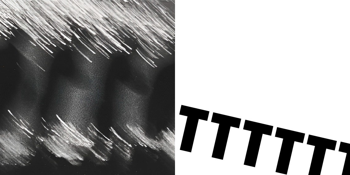 accordion booklet-10.png