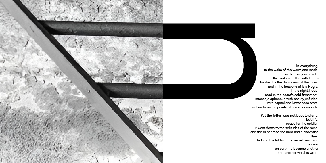 accordion booklet-08.png