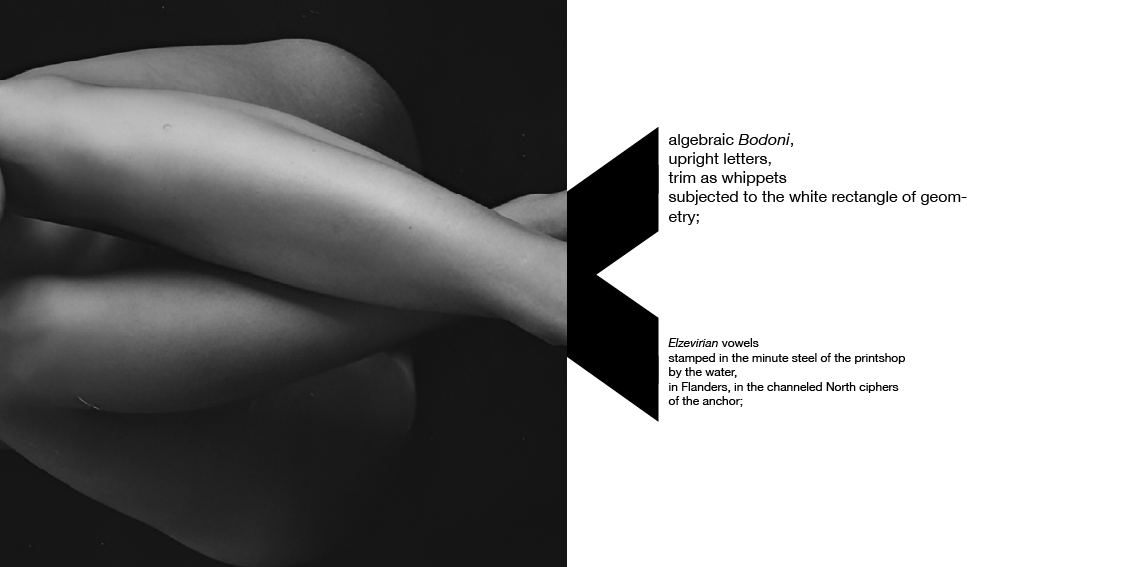 accordion booklet-05.png