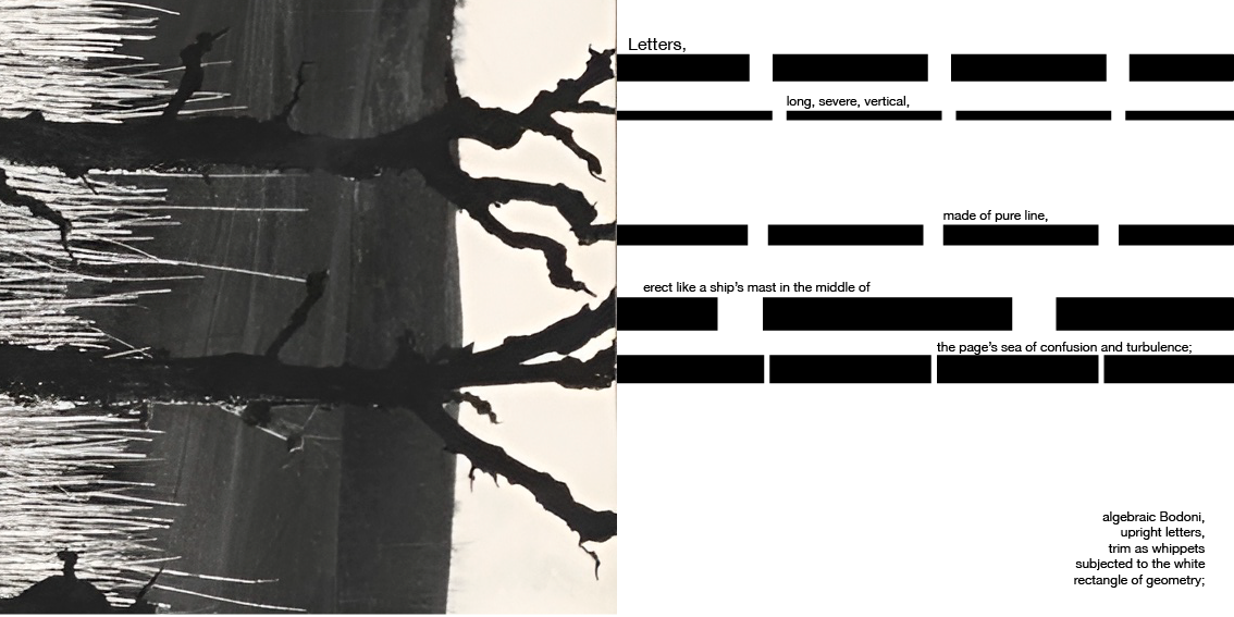 accordion booklet-03.png