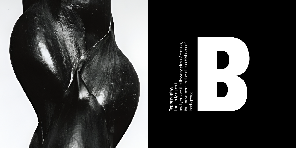 accordion booklet-02.png