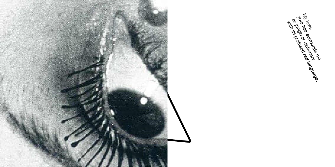 accordion booklet-04.png