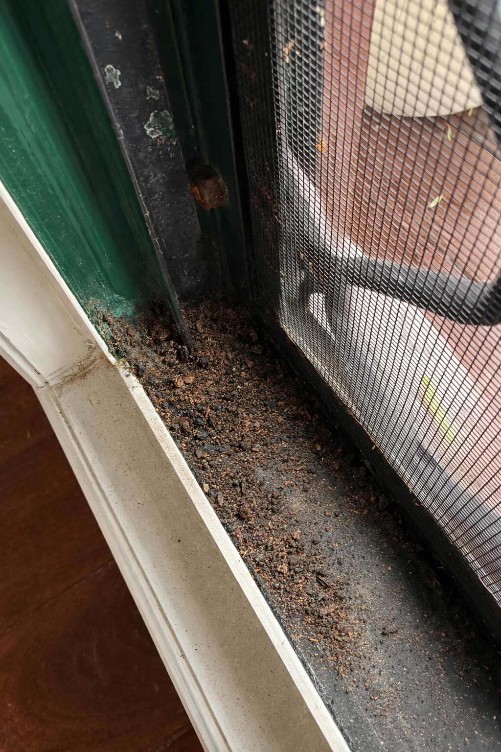 Pre-sale window cleaning and adjusting on the Gold Coast