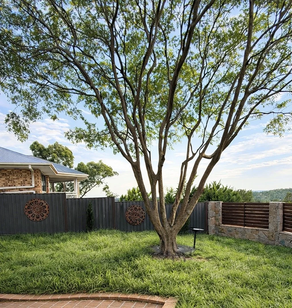 Ongoing garden maintenance to keep your garden looking fresh