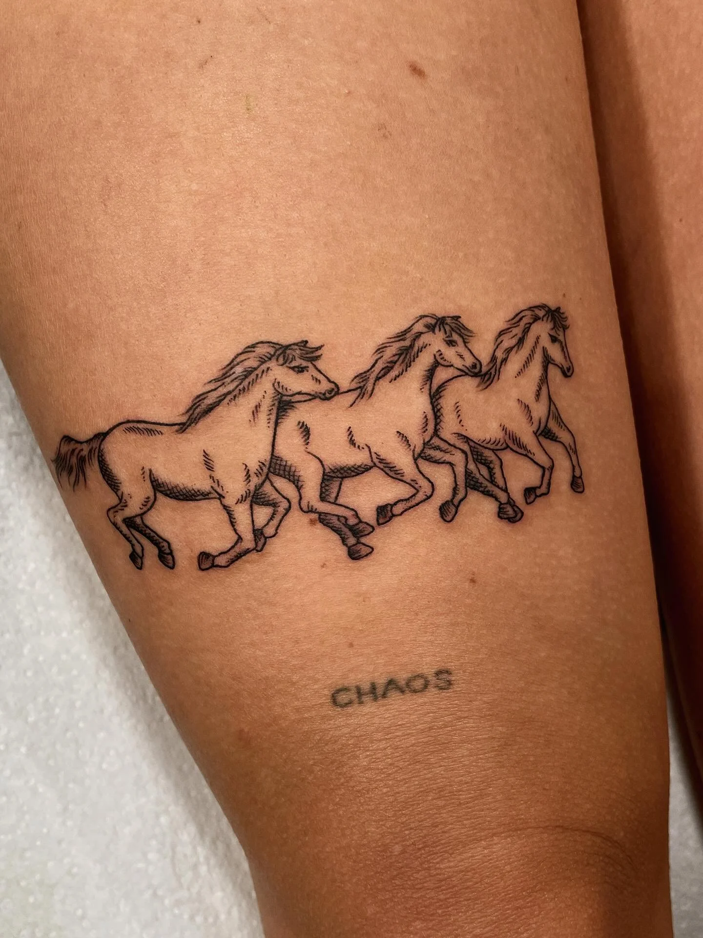 Walk-in creatures  Walk in today and make your tattoo dreams a reality! No line too fine, no job to small. Call now (02) 92110066

#sydneytattoo #sydneytattooartist #finelinetattoo #fineline #walkins #walkintattoo