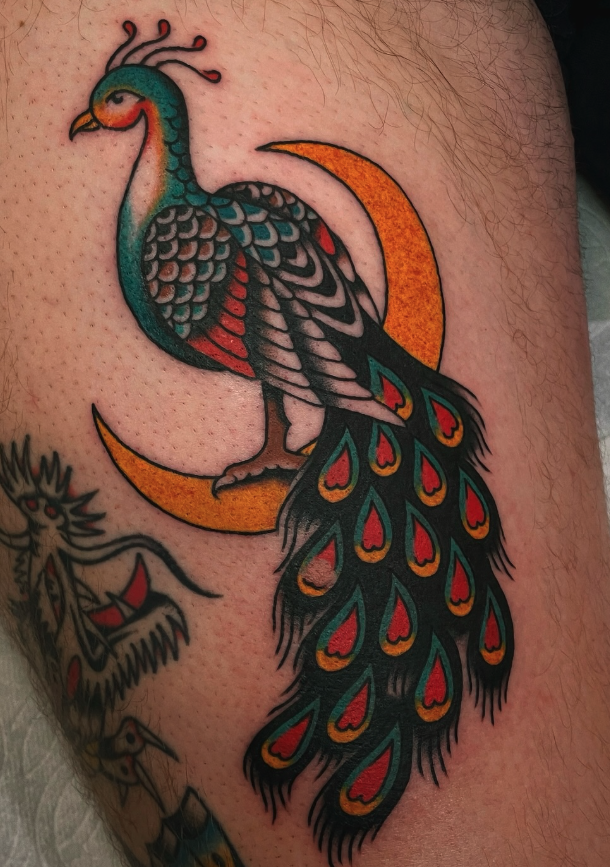 Colorful tattoo of a peacock perched on a crescent moon with elaborate tail feathers, on skin.