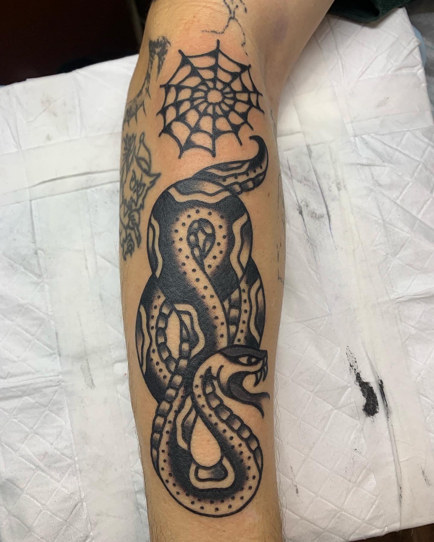 Tattoo of a snake intertwined with a spider web on a person's forearm.