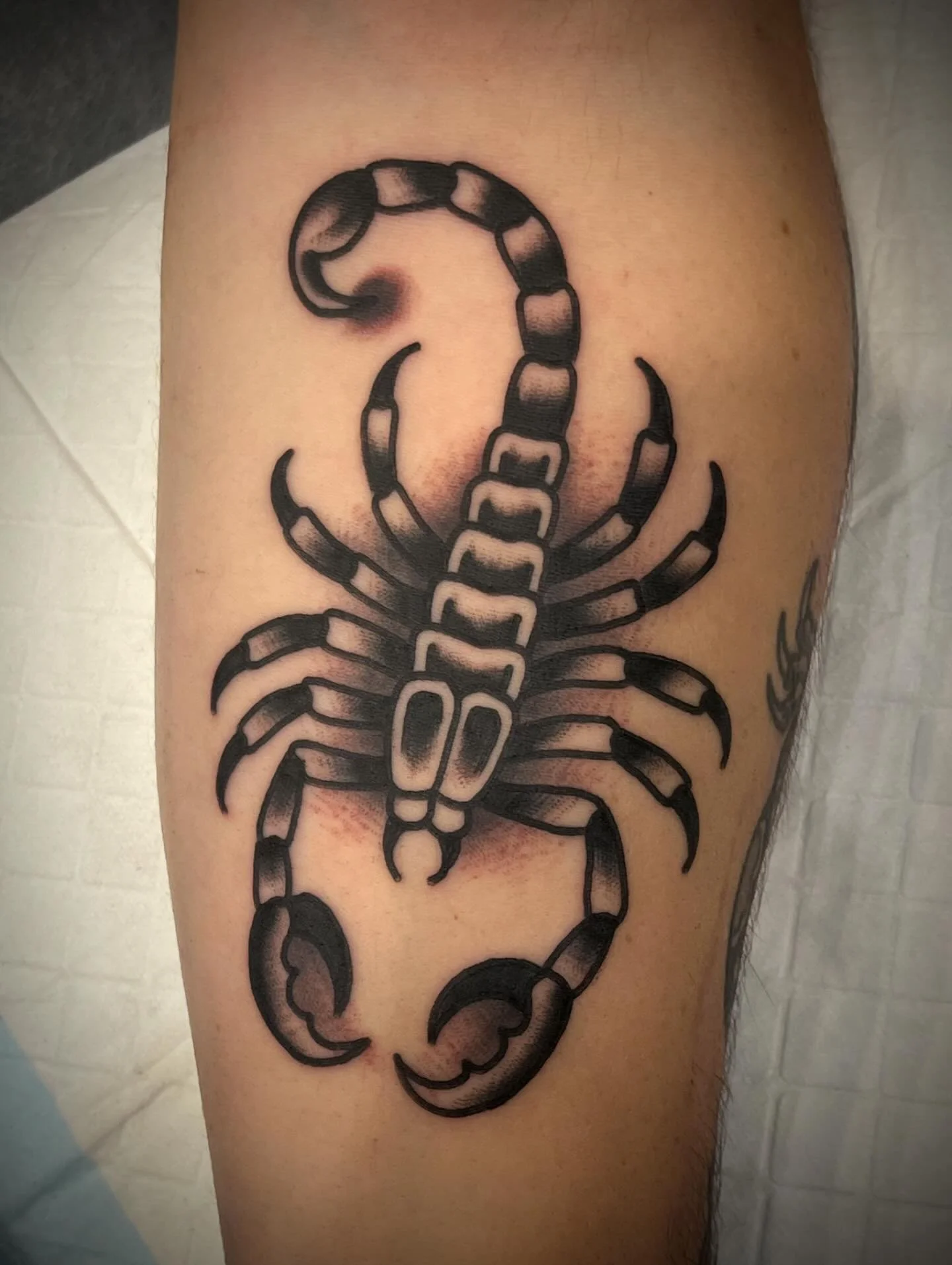 Black and grey tattoo of a scorpion on a person's arm.
