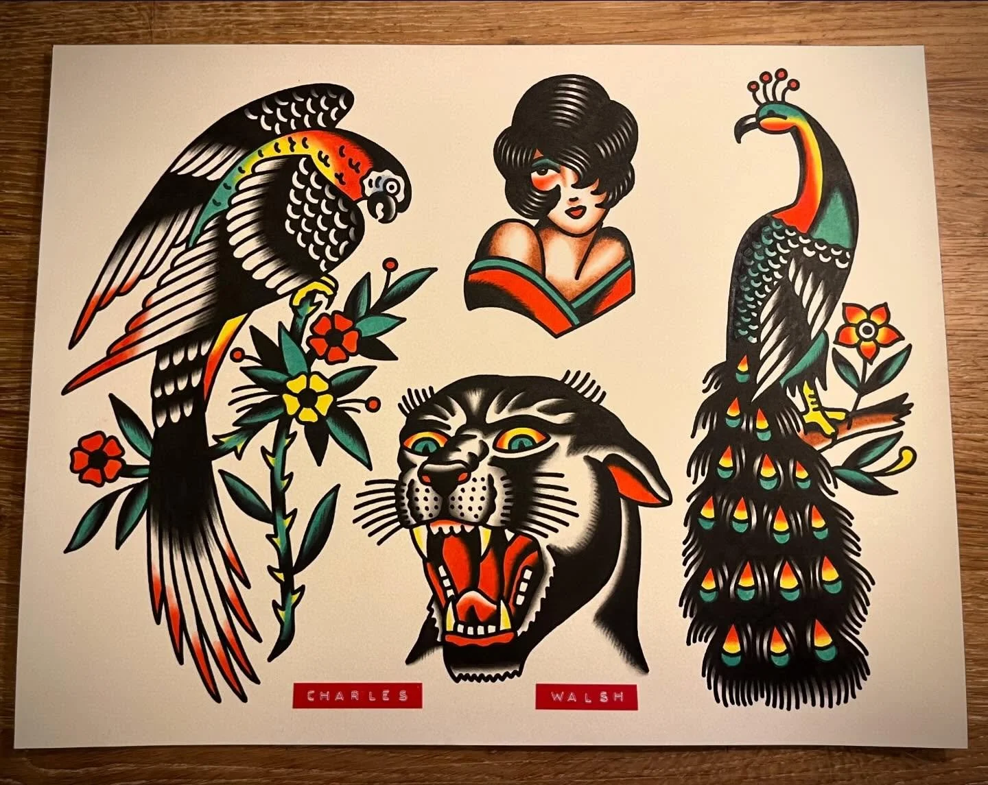 Tattoo sheet featuring two detailed parrots, a woman's portrait, and a snarling panther head, all in traditional style with black outlines and colorful accents.
