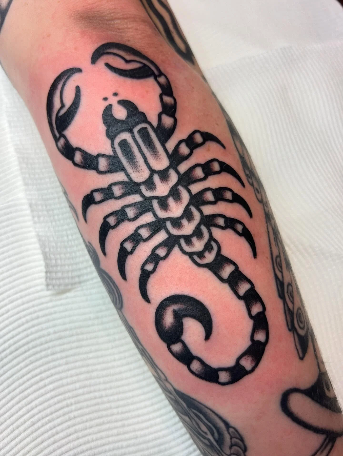Tattoo of a black and gray scorpion on a person's arm.