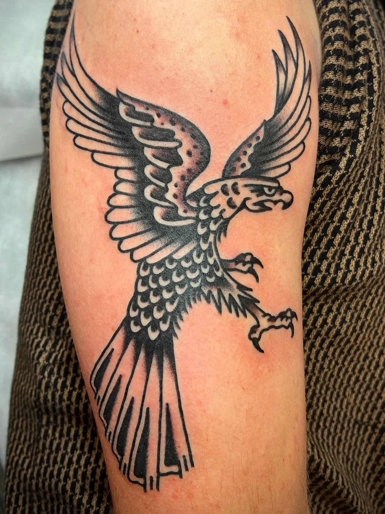 Tattoo of an eagle with outstretched wings on a person's arm.