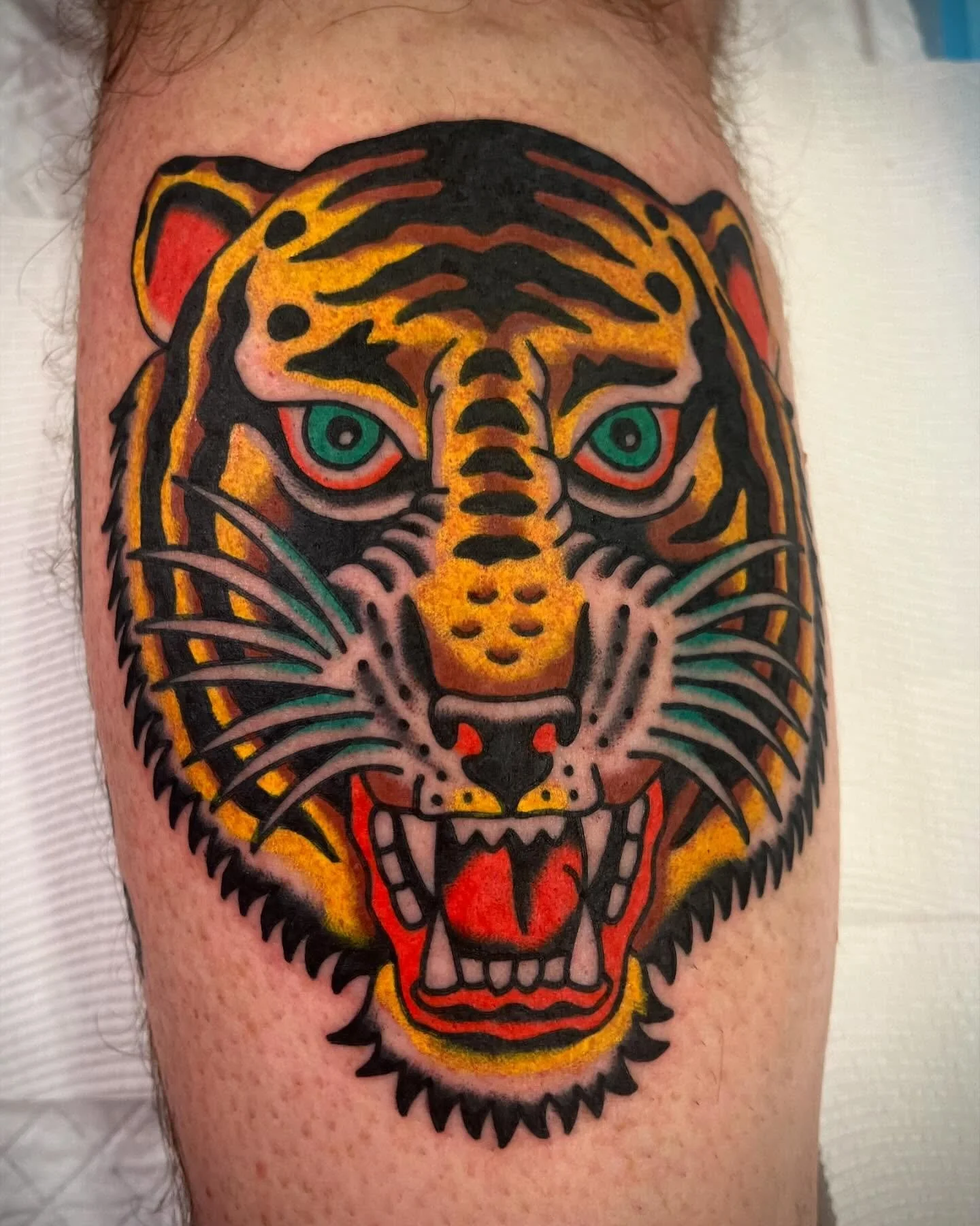 Colorful tattoo of a fierce tiger's face with teal eyes and open mouth showing teeth, on a person's leg.