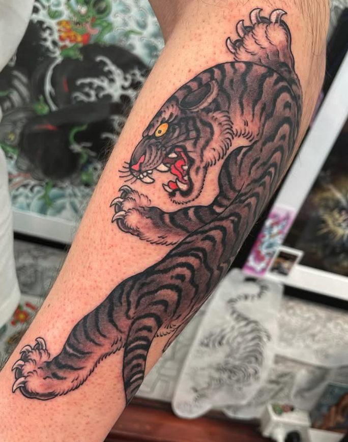Tattoo of a roaring tiger with black and gray stripes on a person's forearm.